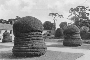 Tassi come fisarmoniche