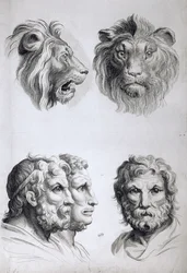 Somiglianze tra la testa di un leone e un uomo, da 
