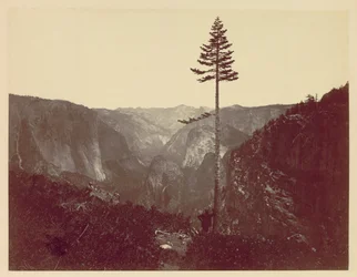 Valle di Yosemite dal Sentiero Mariposa