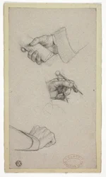 Studio di mani