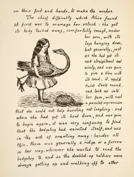 Alice con il suo struzzo, illustrazione da Le avventure di Alice sottoterra, pub. 1886 (facsimile)