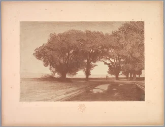 Suite de Paysages: Paesaggio, Tavola 8, Remarque, Viole del pensiero, 1892-1893