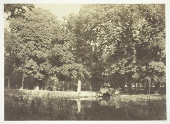 Senza titolo, c. 1850. [Alberi vicino all