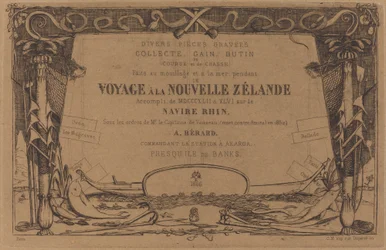 Copertina di "Viaggio in Nuova Zelanda"