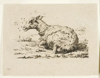 Le pecore e le mosche