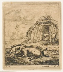 Tre maiali sdraiati davanti a una baracca