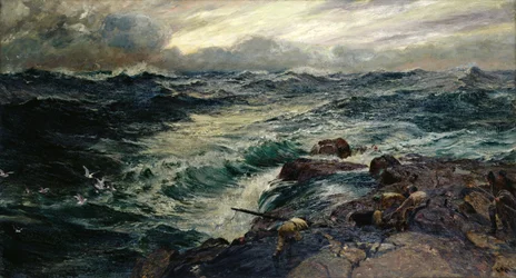 Uccelli rapaci