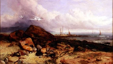 Scena di Costa con Barca da Pesca e Sterne