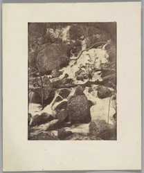 [Alberi e cascate]