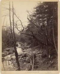 Sul fiume Baker, Breezy Point, N.H.