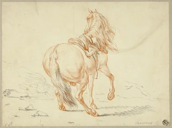 Cavallo senza cavaliere