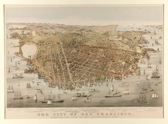 La città di San Francisco - Uccello