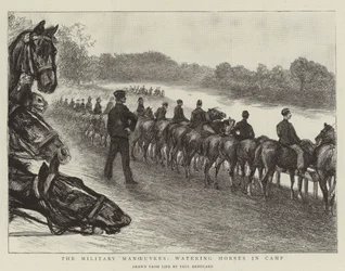 Le manovre militari, abbeveramento dei cavalli nel campo