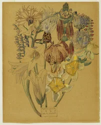 Mont Louis - Studio di fiori, 1925