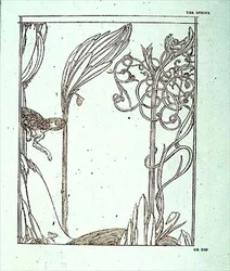 Illustrazione per 