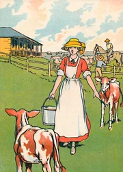 Una fattoria lattiera australiana