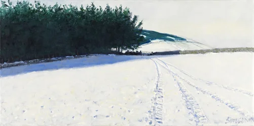 Alberi scuri e neve, 2011 (olio su tela)