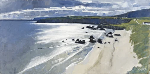 Sango Bay, 2011 (olio su tela)