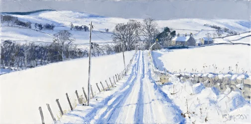 Neve, Newhall, 2010 (olio su tela)