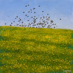 Storni e ranuncoli, Iona, 2015 (olio su tela)