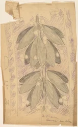 Tracciato di un Disegno di Bordo