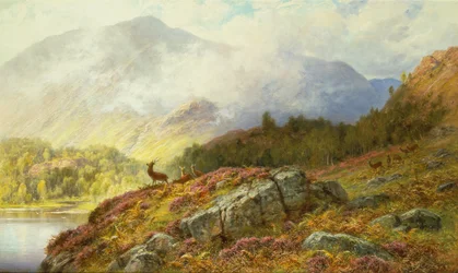 Cervi in un paesaggio montano