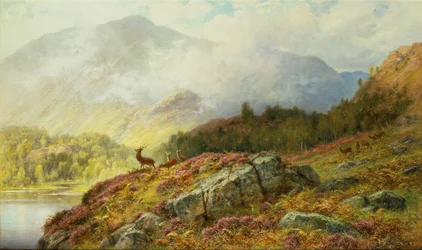 Cervi in un paesaggio delle Highlands