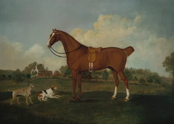 Un cavallo da caccia baio con due segugi in un paesaggio, con un palazzo oltre, 1779