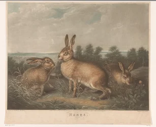 Tre lepri