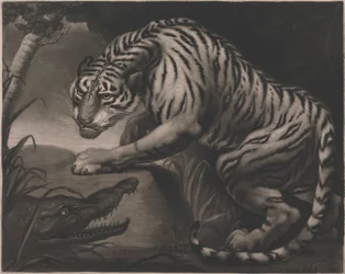 Tigre e Coccodrillo