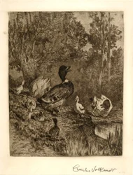Capofamiglia