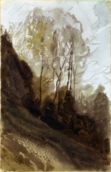 Alberi
