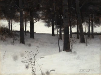 Boschi in inverno