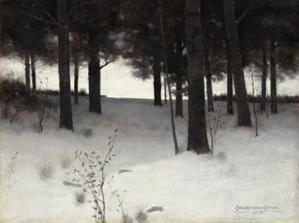 Boschi in inverno