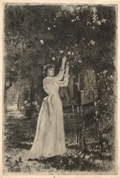 Una Giovane Donna che Raccoglie Fiori da un Albero