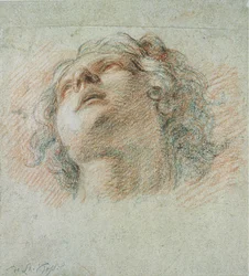 Testa di un giovane, vista dal basso
