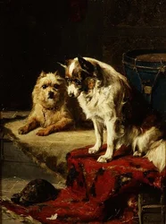 Cani e una tartaruga