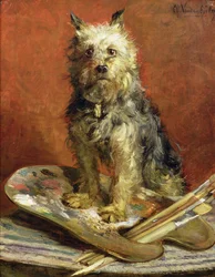 Il cane dell