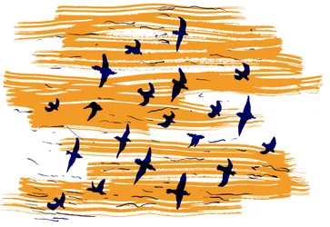 Uccelli in volo