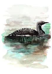 Anatra