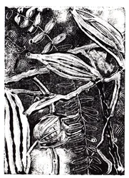 Piante Inchiostrate, 2019