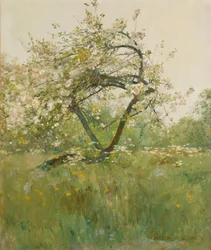 Fiori di pesco, Villiers-le-Bel