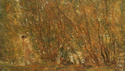 Sotto gli ontani