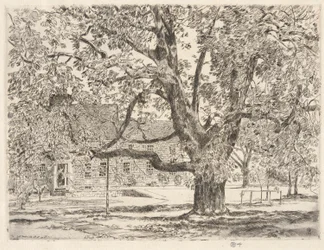 Il grande ippocastano, Easthampton