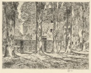 Olmi del villaggio, 1923