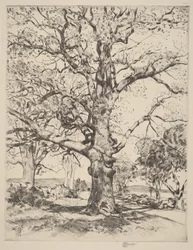 Wayside Inn - Querce in primavera