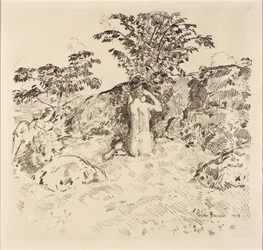Ciliegio selvatico