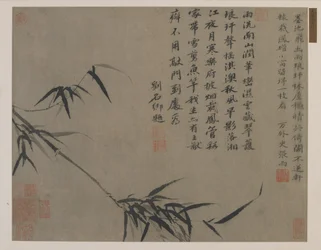 Un ramo di bambù, forse dinastia Qing