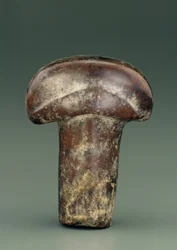 Oggetto a forma di asta ovale sormontata da un grosso pomello semicircolare (serpentina)