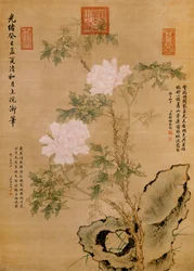 Peonie e Roccia